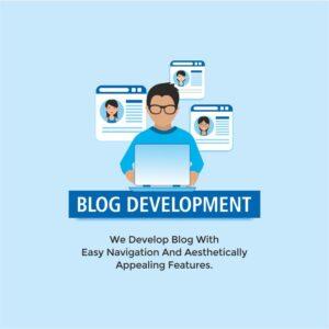 HubSpot Blog Development