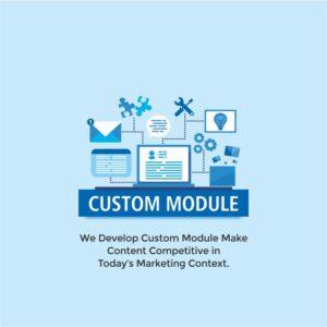 HubSpot Custom Module Development